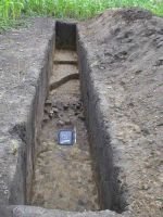 Cronica Cercetărilor Arheologice din România, Campania 2004. Raportul nr. 198