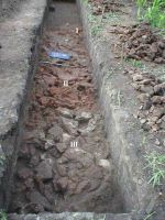 Cronica Cercetărilor Arheologice din România, Campania 2004. Raportul nr. 198