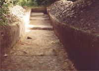 Cronica Cercetărilor Arheologice din România, Campania 2004. Raportul nr. 206