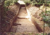 Cronica Cercetărilor Arheologice din România, Campania 2004. Raportul nr. 206