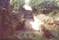 Cronica Cercetărilor Arheologice din România, Campania 2004. Raportul nr. 206