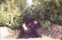 Cronica Cercetărilor Arheologice din România, Campania 2004. Raportul nr. 206