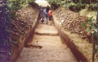 Cronica Cercetărilor Arheologice din România, Campania 2004. Raportul nr. 206
