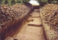 Cronica Cercetărilor Arheologice din România, Campania 2004. Raportul nr. 206