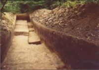 Cronica Cercetărilor Arheologice din România, Campania 2004. Raportul nr. 206