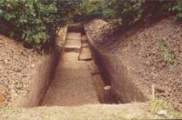Cronica Cercetărilor Arheologice din România, Campania 2004. Raportul nr. 206