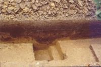 Cronica Cercetărilor Arheologice din România, Campania 2004. Raportul nr. 206