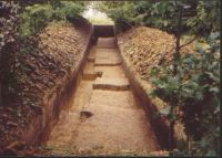 Cronica Cercetărilor Arheologice din România, Campania 2004. Raportul nr. 206