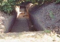 Cronica Cercetărilor Arheologice din România, Campania 2004. Raportul nr. 206