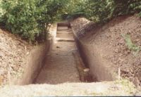 Cronica Cercetărilor Arheologice din România, Campania 2004. Raportul nr. 206