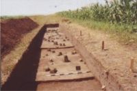 Cronica Cercetărilor Arheologice din România, Campania 2004. Raportul nr. 206