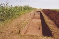 Cronica Cercetărilor Arheologice din România, Campania 2004. Raportul nr. 206