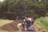 Cronica Cercetărilor Arheologice din România, Campania 2004. Raportul nr. 206