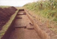 Cronica Cercetărilor Arheologice din România, Campania 2004. Raportul nr. 206
