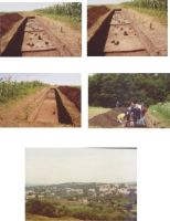 Cronica Cercetărilor Arheologice din România, Campania 2004. Raportul nr. 206