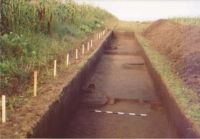 Cronica Cercetărilor Arheologice din România, Campania 2004. Raportul nr. 206