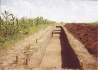 Cronica Cercetărilor Arheologice din România, Campania 2004. Raportul nr. 206
