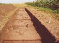 Cronica Cercetărilor Arheologice din România, Campania 2004. Raportul nr. 206