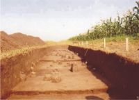 Cronica Cercetărilor Arheologice din România, Campania 2004. Raportul nr. 206