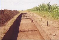 Cronica Cercetărilor Arheologice din România, Campania 2004. Raportul nr. 206