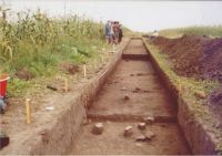 Cronica Cercetărilor Arheologice din România, Campania 2004. Raportul nr. 206