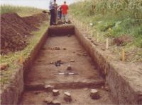 Cronica Cercetărilor Arheologice din România, Campania 2004. Raportul nr. 206