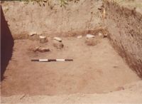Cronica Cercetărilor Arheologice din România, Campania 2004. Raportul nr. 206