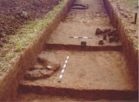 Cronica Cercetărilor Arheologice din România, Campania 2004. Raportul nr. 206