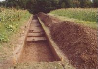 Cronica Cercetărilor Arheologice din România, Campania 2004. Raportul nr. 206