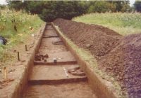 Cronica Cercetărilor Arheologice din România, Campania 2004. Raportul nr. 206