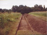 Cronica Cercetărilor Arheologice din România, Campania 2004. Raportul nr. 206