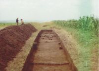 Cronica Cercetărilor Arheologice din România, Campania 2004. Raportul nr. 206