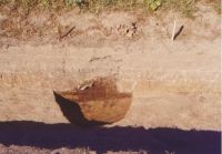 Cronica Cercetărilor Arheologice din România, Campania 2004. Raportul nr. 206
