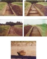 Cronica Cercetărilor Arheologice din România, Campania 2004. Raportul nr. 206