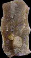 Cronica Cercetărilor Arheologice din România, Campania 2004. Raportul nr. 209