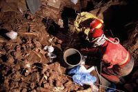 Cronica Cercetărilor Arheologice din România, Campania 2004. Raportul nr. 210
