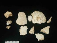Cronica Cercetărilor Arheologice din România, Campania 2004. Raportul nr. 210