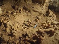 Cronica Cercetărilor Arheologice din România, Campania 2004. Raportul nr. 210