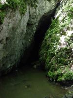 Cronica Cercetărilor Arheologice din România, Campania 2004. Raportul nr. 210