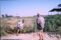 Cronica Cercetărilor Arheologice din România, Campania 2004. Raportul nr. 211