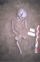 Cronica Cercetărilor Arheologice din România, Campania 2004. Raportul nr. 211