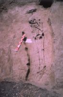 Cronica Cercetărilor Arheologice din România, Campania 2004. Raportul nr. 211
