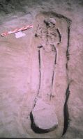 Cronica Cercetărilor Arheologice din România, Campania 2004. Raportul nr. 211
