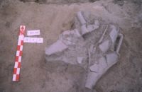 Cronica Cercetărilor Arheologice din România, Campania 2004. Raportul nr. 211