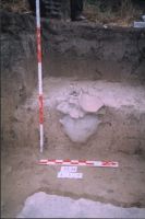 Cronica Cercetărilor Arheologice din România, Campania 2004. Raportul nr. 211