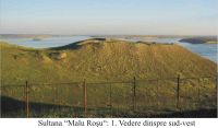 Cronica Cercetărilor Arheologice din România, Campania 2004. Raportul nr. 214