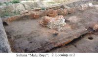 Cronica Cercetărilor Arheologice din România, Campania 2004. Raportul nr. 214