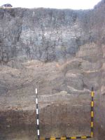Cronica Cercetărilor Arheologice din România, Campania 2004. Raportul nr. 215
