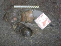 Cronica Cercetărilor Arheologice din România, Campania 2004. Raportul nr. 215