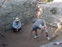 Cronica Cercetărilor Arheologice din România, Campania 2004. Raportul nr. 217